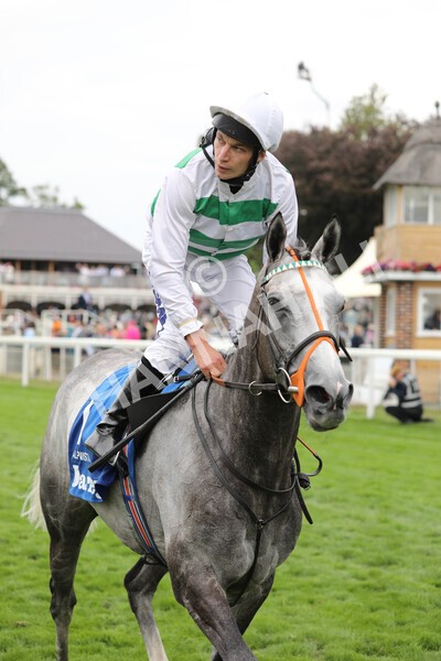 yr18082022r4-50 - Race 4 3.35pm Darley Yorkshire Oaks (British Champions Series Race)