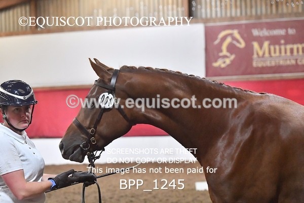 BPP_1245 - MORNING 9AM - 12PM