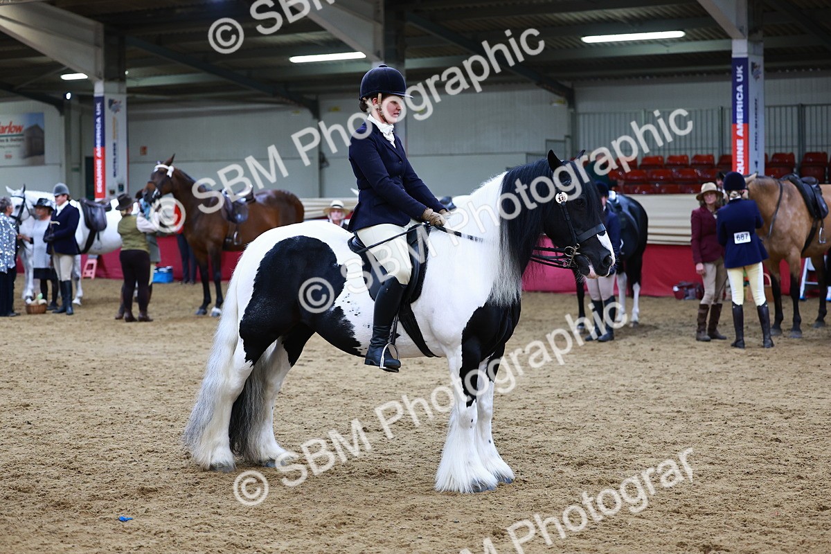 SBM_23459 - class 906 - Supreme Final - Ridden Pre Vet