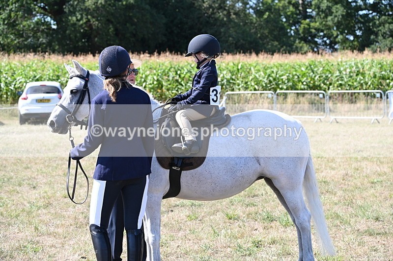 WJ6_7979 - Class 36 Lead Rein