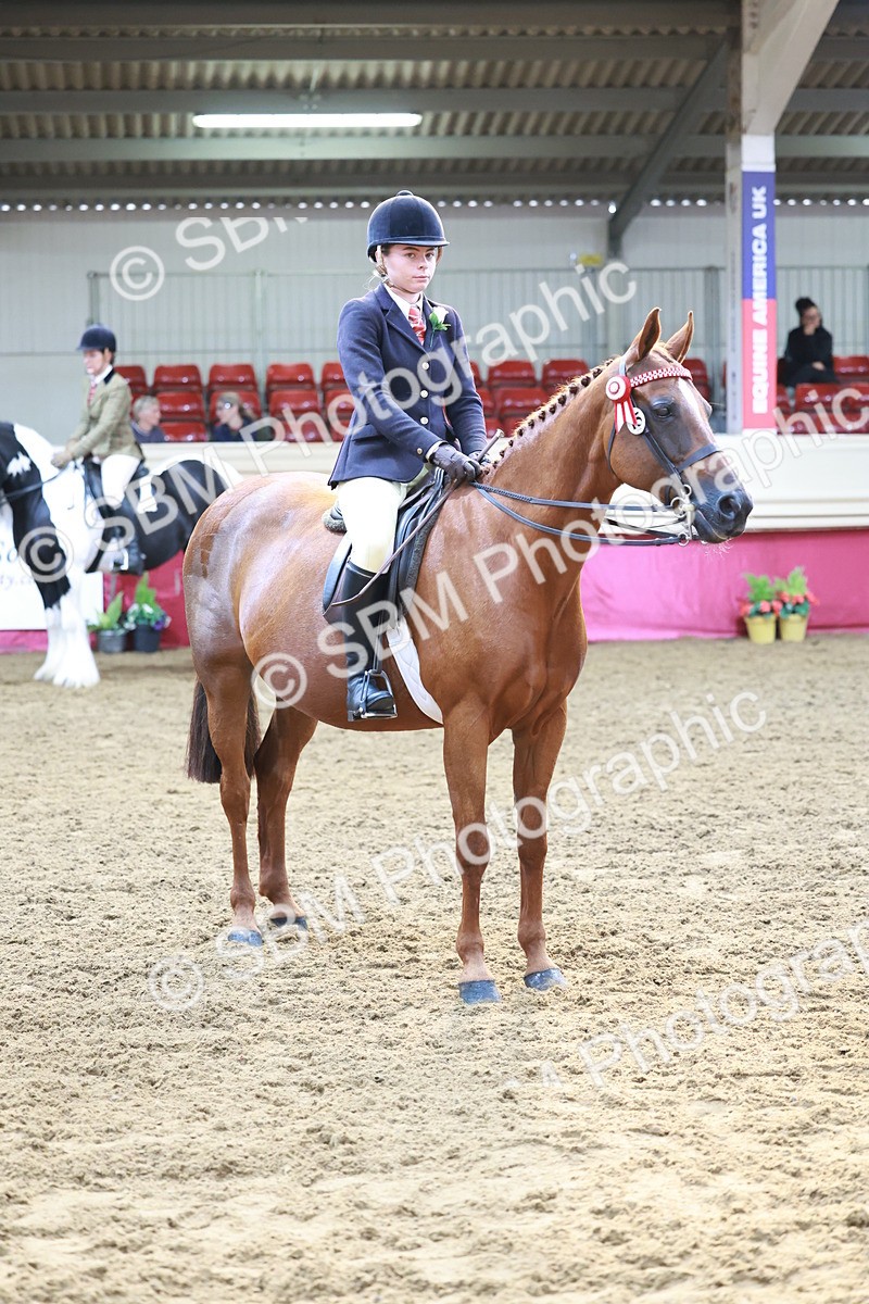 SBM_11981 - Class 102 - Equitation (Best Rider) Adult