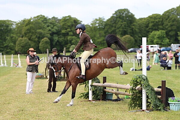 IMG_2886 - Working Hunter