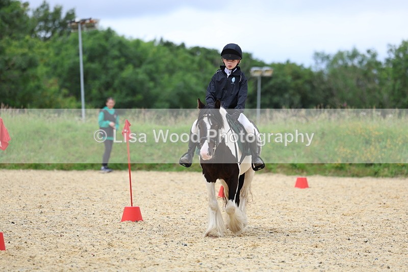 3E7A9634 - Walk trot run