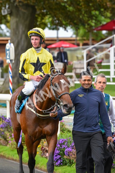 230923-Race 3-Politico-6326 - Race 3 3.10pm Happy 60th Birthday Angela Clark Nursery Handicap