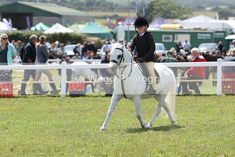 JPP_1847 - Class 18: Tiny Tots Working Hunter Pony