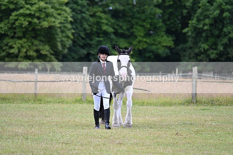 WJ7_6988 - Class 5a Most Handsome Gelding in Hand