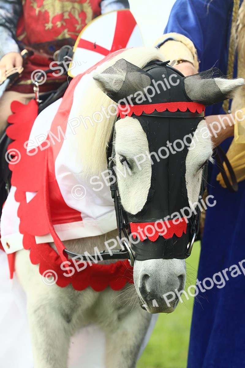 SBM_63585 - S35 - Fancy Dress Showing