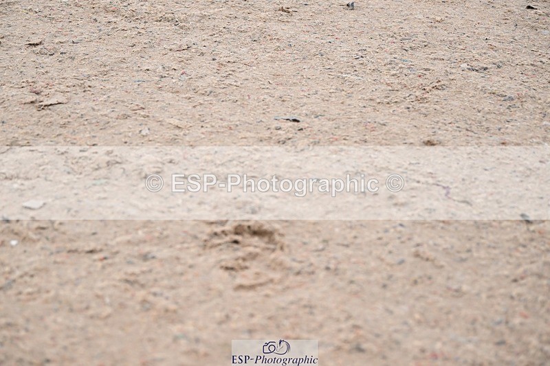 250424-091932-03529 - Cls 13 - 1 Star Bronze Tour