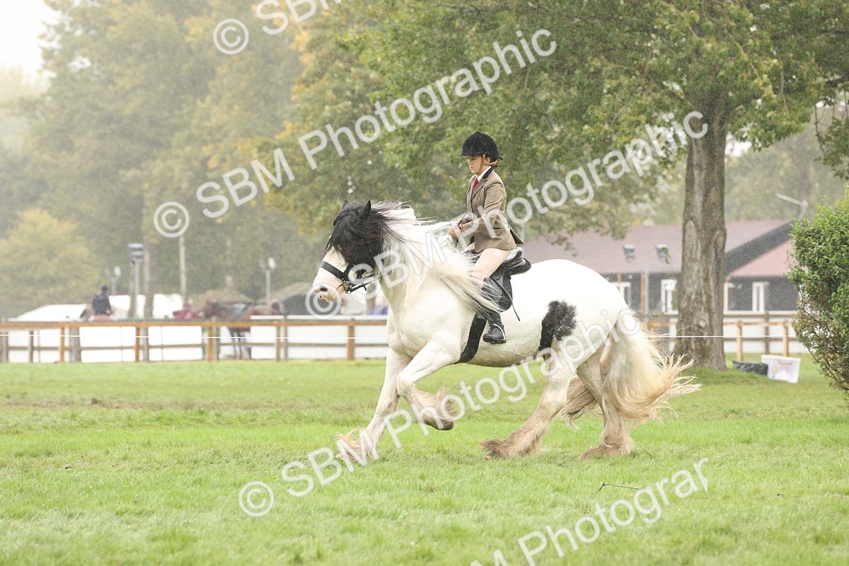 SBM_72719 - S70 - Traditional Cob Ridden