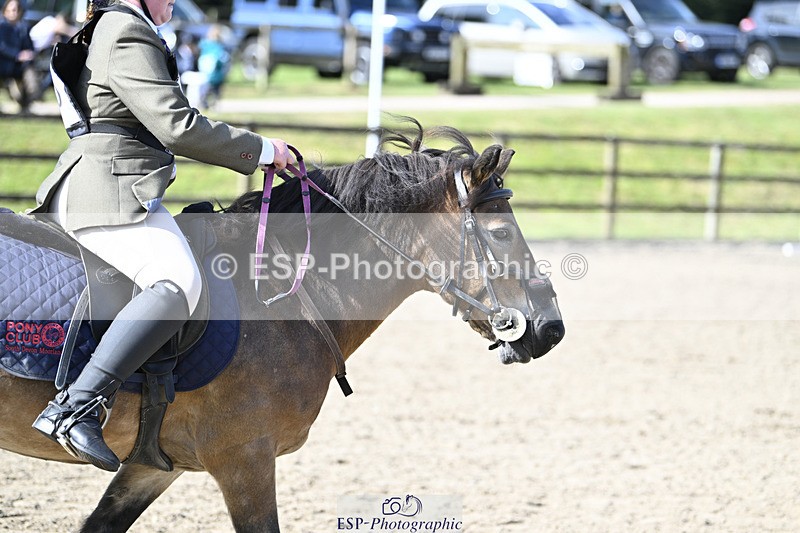 240823X-101453-15127 - 60cm R2 9.30 to 11.00