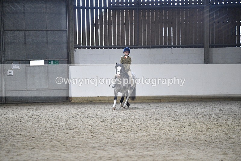 WJ5_8277 - Class 14 Novice Ridden/Rider