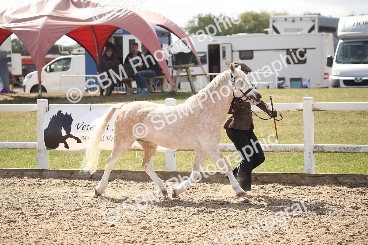 SBM_23385 - Class 604 - 2026 - Area IH Diamond