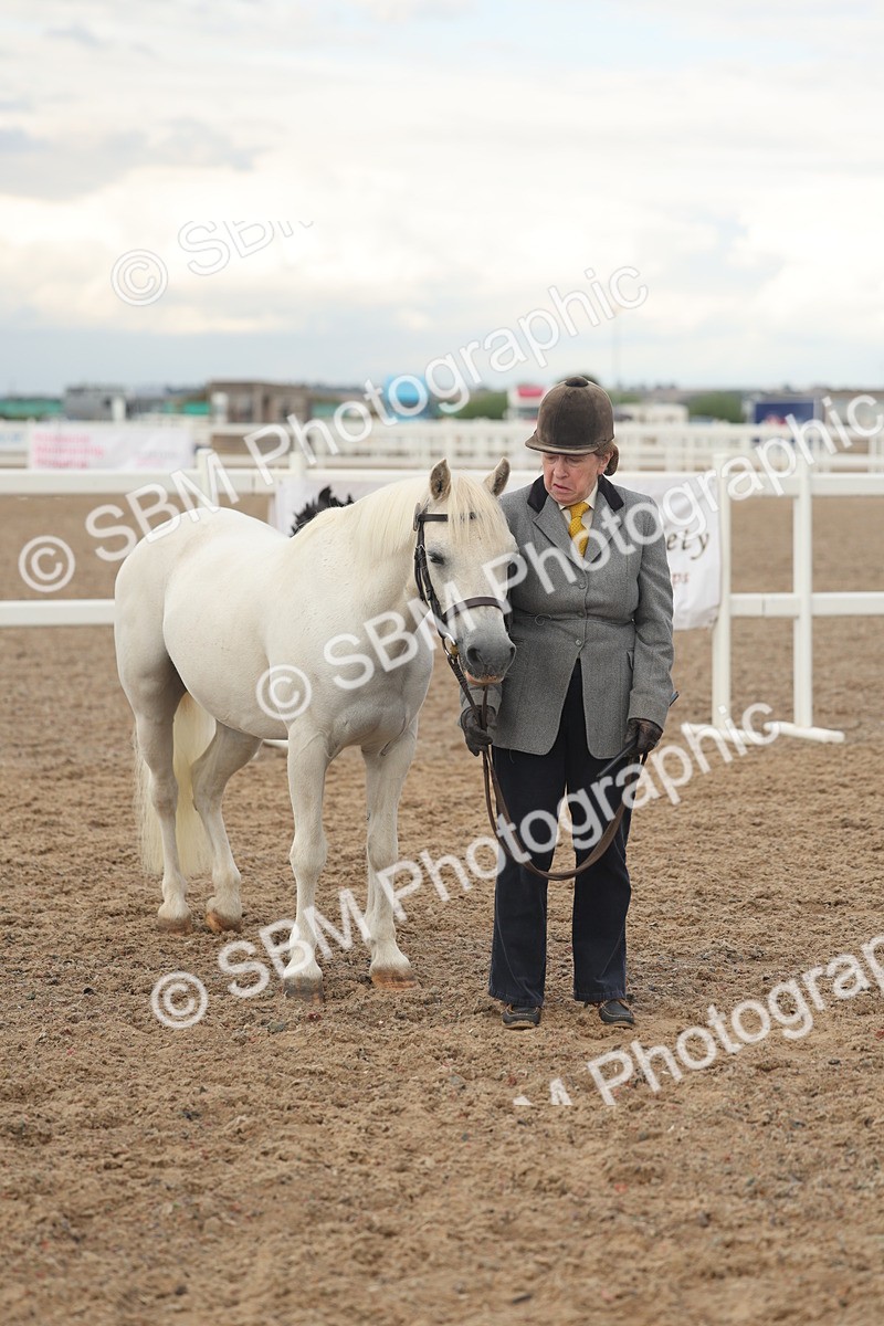 SBM_08548 - Class 29 - IH Veteran Pony