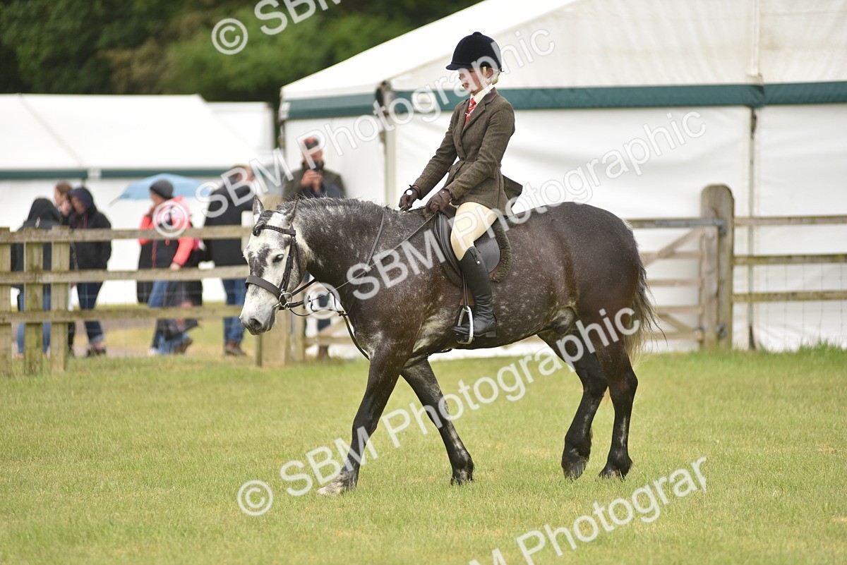 SBM_12110 - Class 110-112 - LIHS BSPS Performance Pones