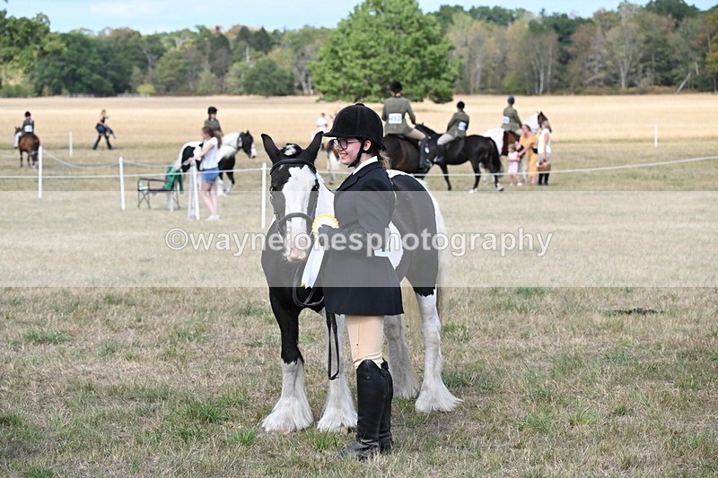 WJ6_6766 - Class 20 In-hand Cob