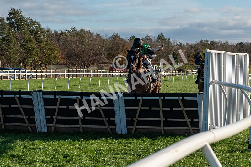 241123-Race 2-Latin Verse-7089 - Race 2