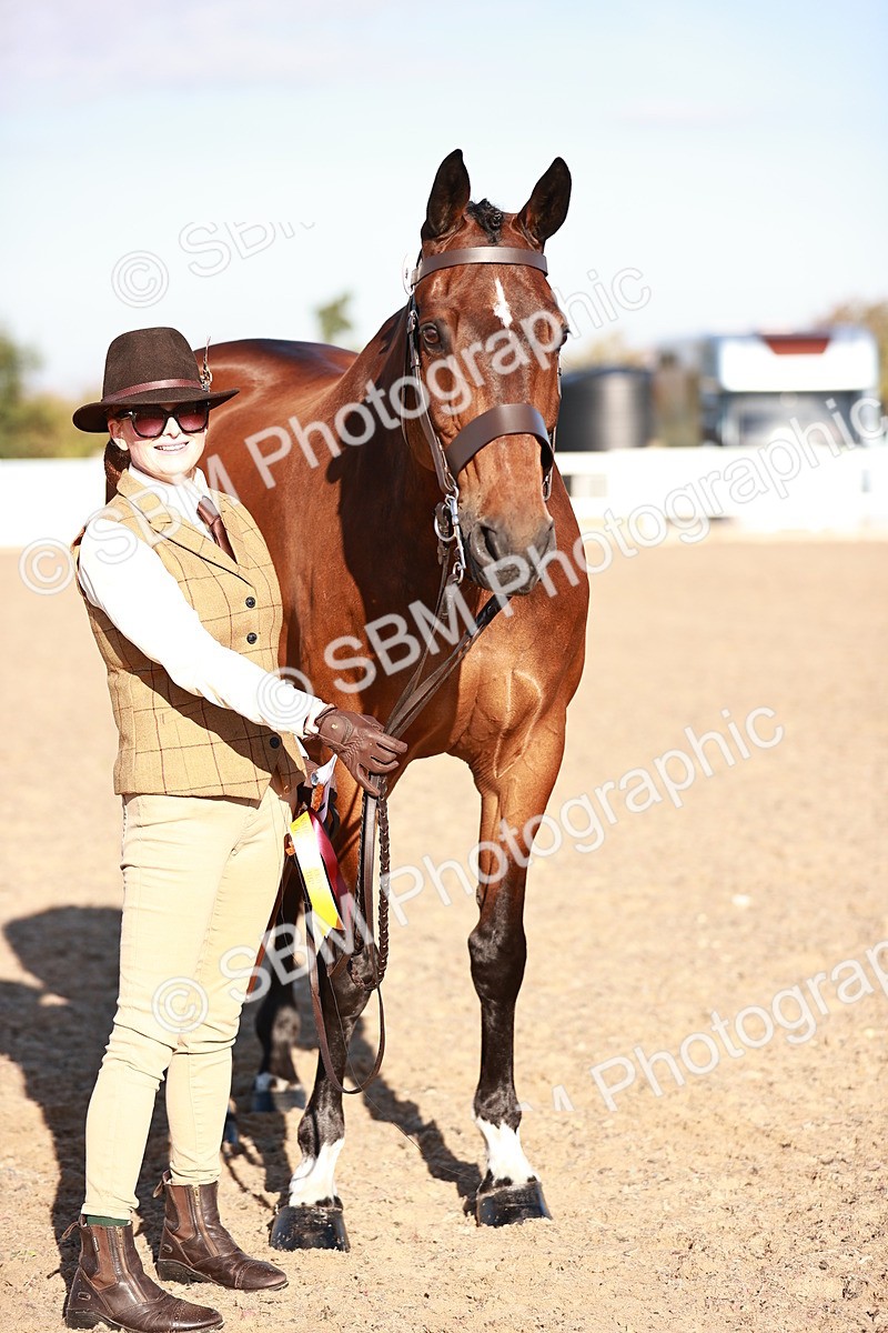 SBM_11226 - Class 401 - IH  Veteran horse