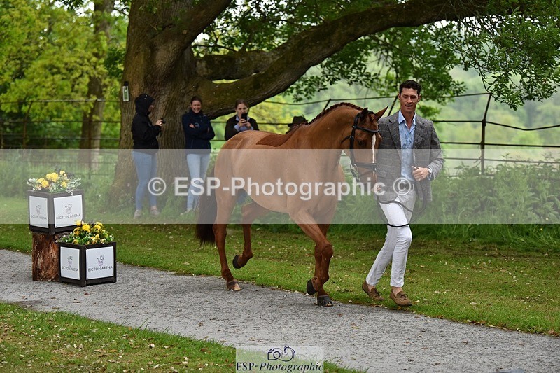 240522-150938-00129 - 311-CAMEE_DE_MUZE-Will_Rawlin