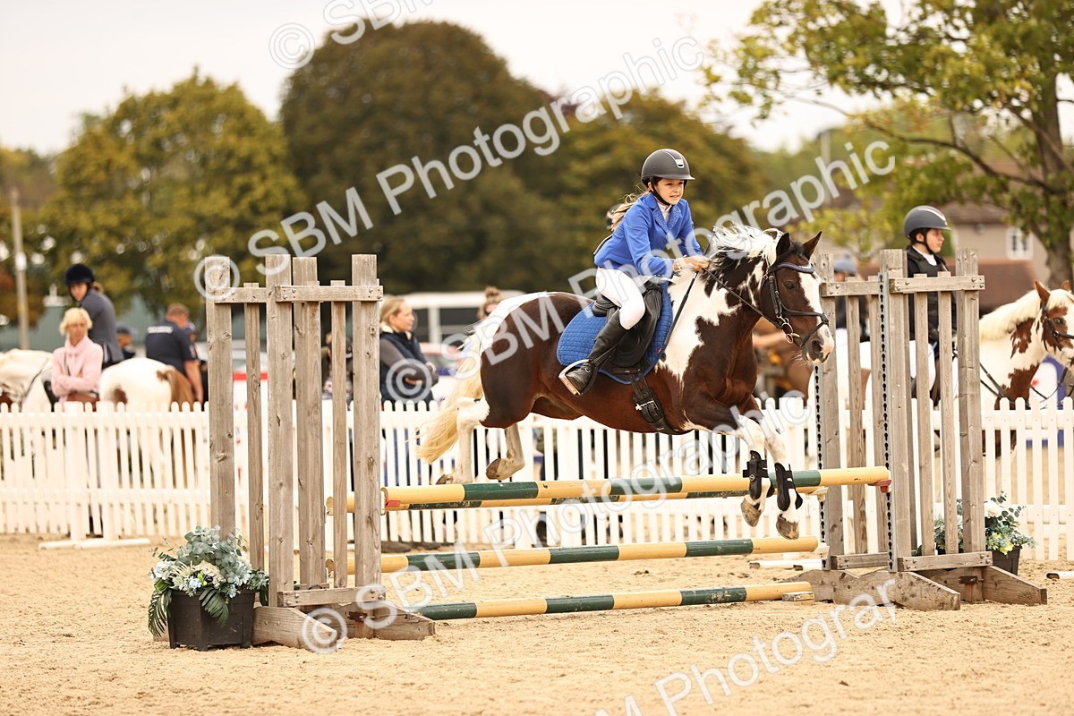 SBM_72583 - J14 - Junior Pony 65cm Championship
