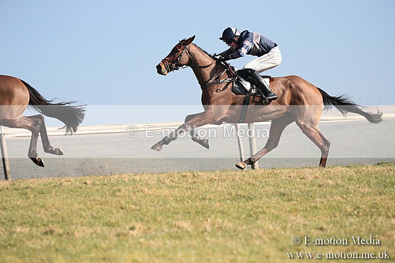PtP 230219 109 - Vine & Craven Point-To-Point - Barbury 23/02/19