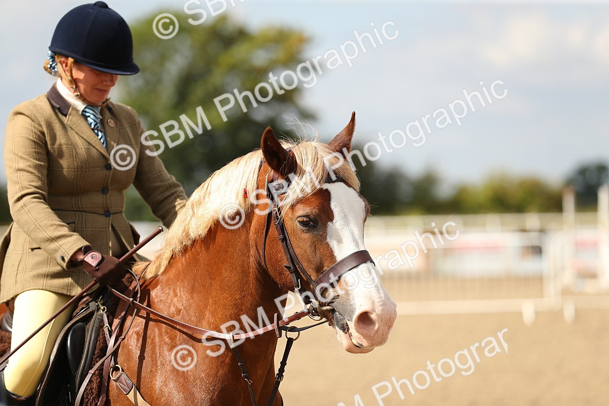 SBM_04719 - Class 46b Style & Performance 50cm (20+)