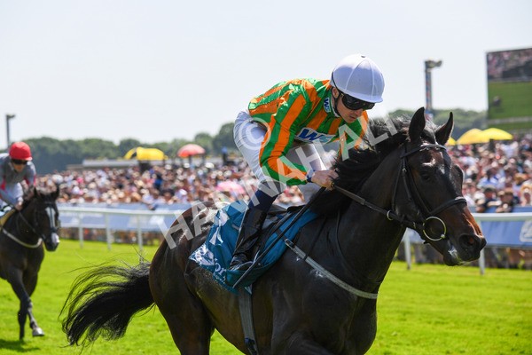 270523-Race 2-Native American-0324 - Race 2 2.10pm Collective Green Energy EBF Restricted Novice Stakes
