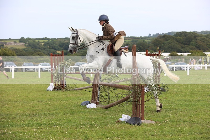 JPP_4153 - Class 25: Working Show Horse