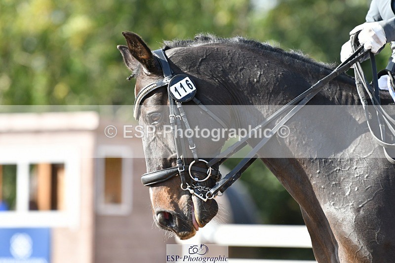 250906-160633-04580 - 116-Louise.CupittEnergiek.N