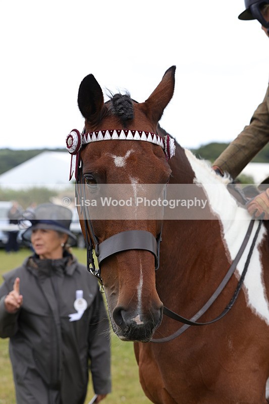 1X9A4471 - Class 34: Veteran Ridden