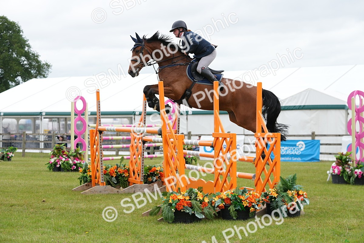 SBM_03169 - Class 201 - British Horse Feeds Speedi Beet Horse of the Year Show Grade  C