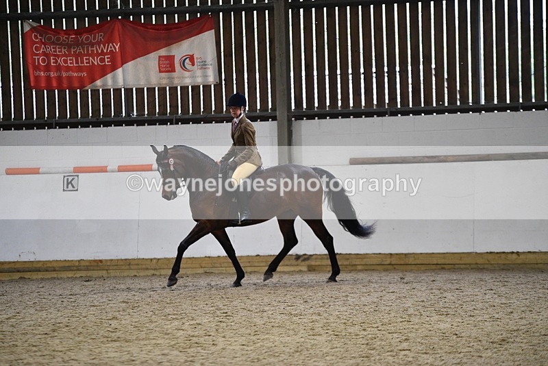 WJ5_8933 - Class 15 Ridden Show Horse