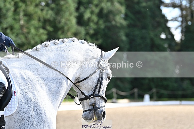 241023-144310-00583 - 003-Lydia.Heywood-COLACENTRIC