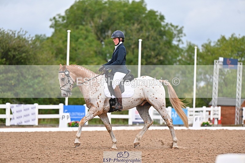 240817A-113729-08077 - 234-Pip.Stephens-Odd.spot.bright.eyes