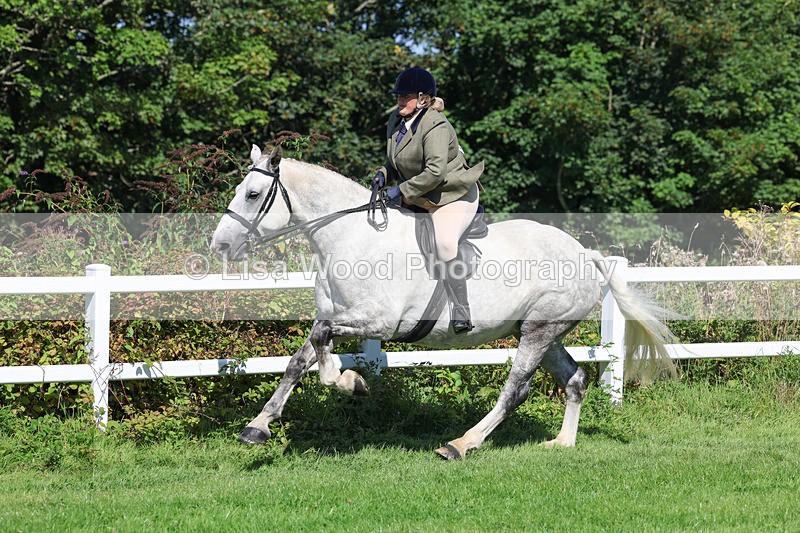 3E7A8422 - Class 4: Novice working Hunter