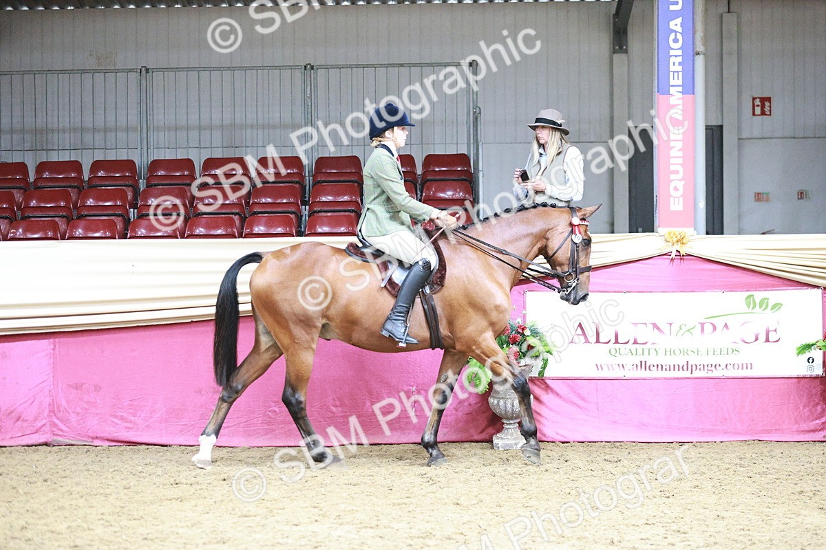 SBM_08779 - Class 12R - Regional Ridden Pre-Vet