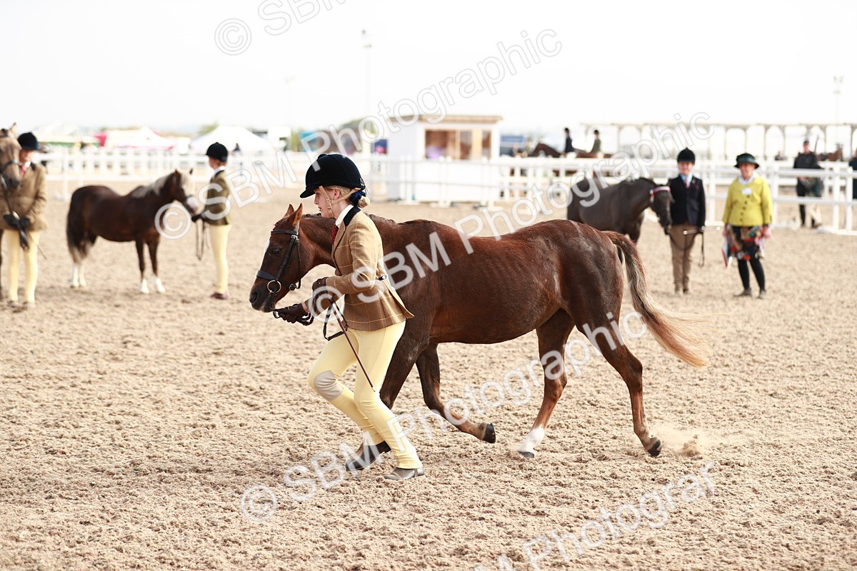 SBM_10603 - Class 204 Young Handler, 11-16 years
