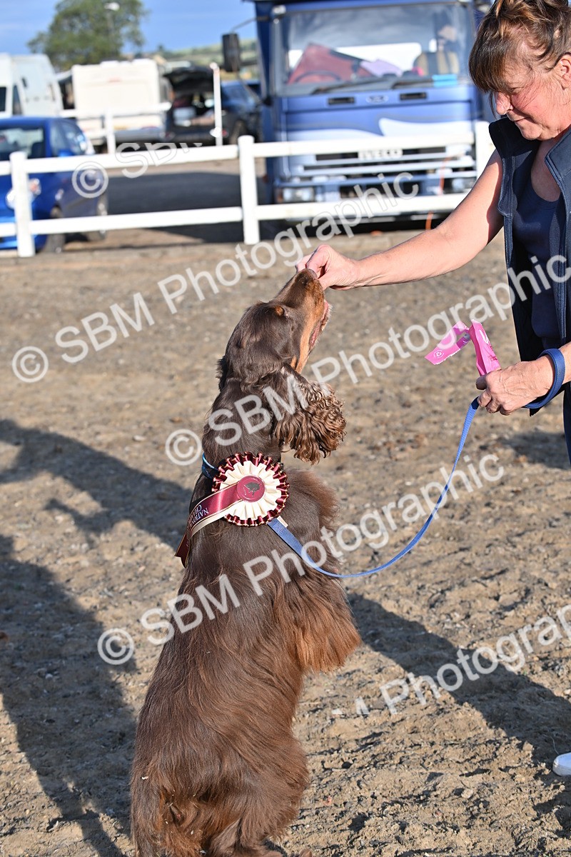 SBM_09418 - Lorry Dogs