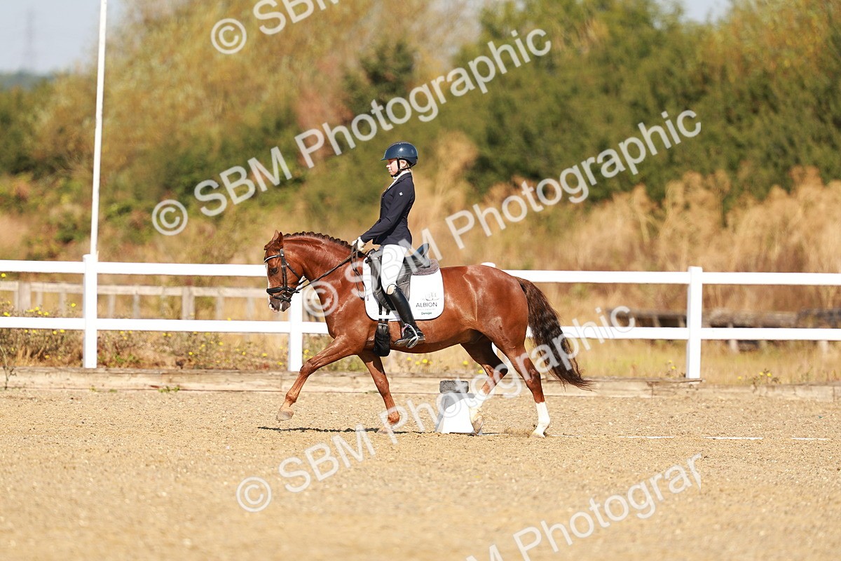 SBM_016819 - Class 9 - N5 Bronze 9.30.10.19