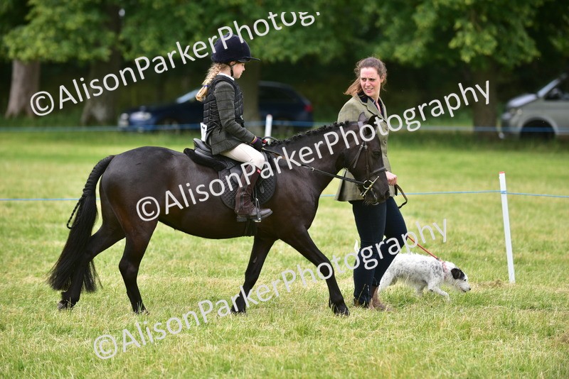 20260614-4513 - Class 19 - Cutest Pony, Rider and Dog Combination