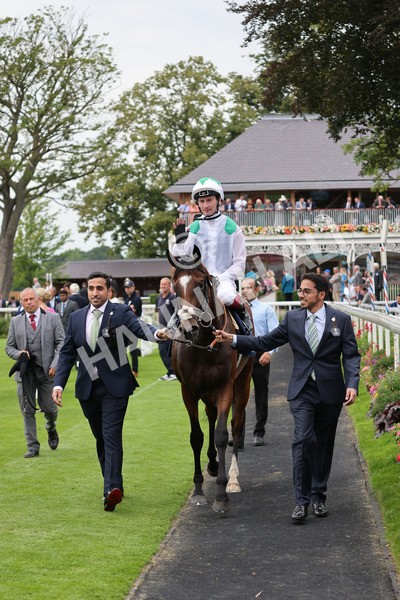 yr20082021r5-35 - Race 5 4.10pm British Stallion Studs EBF Convivial Maiden Stakes (Plus 10 Race)
