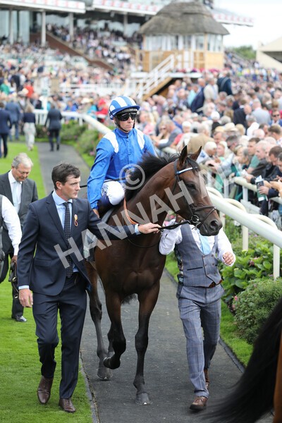 yr17082022r4-44 - Race 4 3.35pm Juddmonte International Stakes (British Champions Series Race)