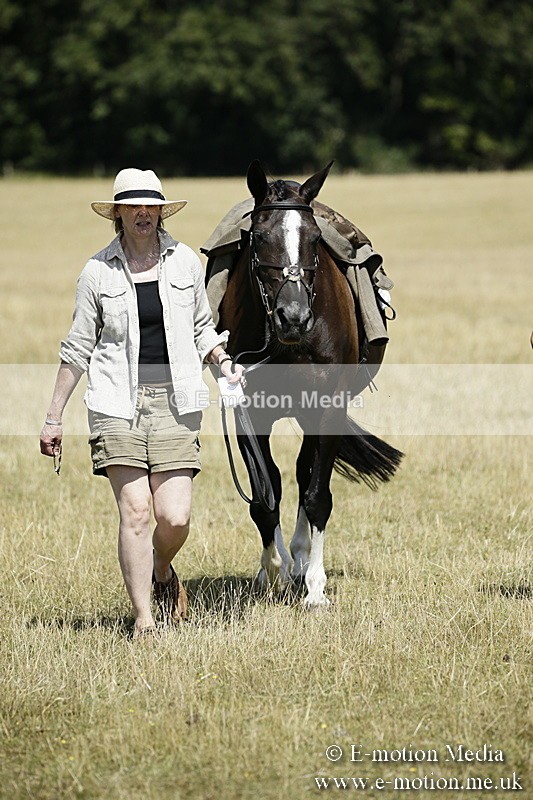 LP220718-1 - Roving Camera BVRC Show 2018