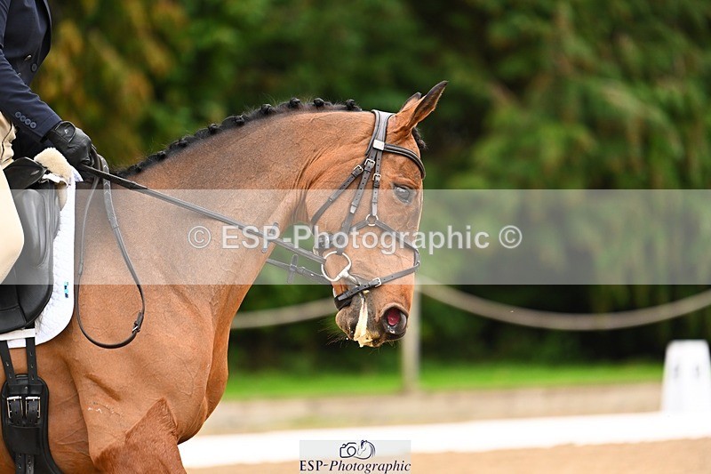 231020-153806-11885 - 214-LIGHT.TOUCH-Liv.Irby-DR