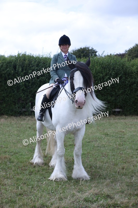 20250831-4351 - Class 20 - Ridden Coloured