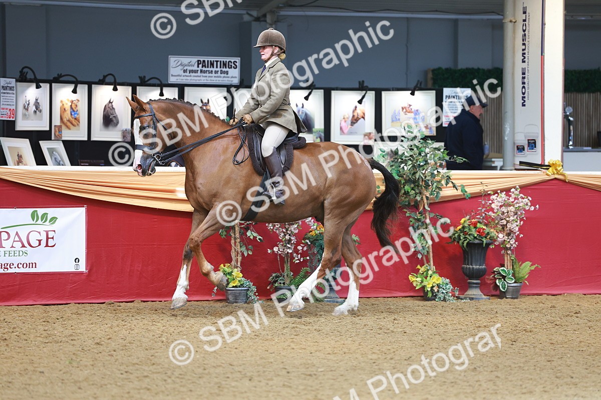 SBM_10631 - Class 103 - HOYS Veteran Qualifier - Ridden Pre Vet