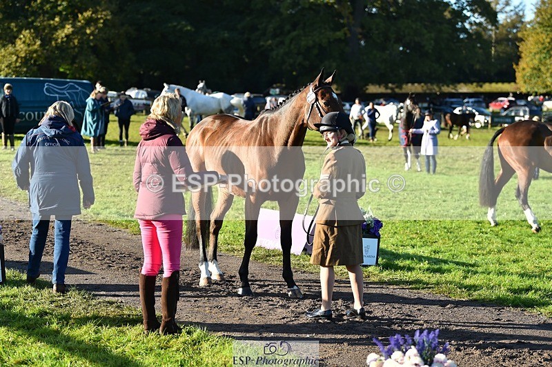 231022-094420-22001 - 450-NORDIC.FIRE-Lara.Hails-TrotUp+SJ