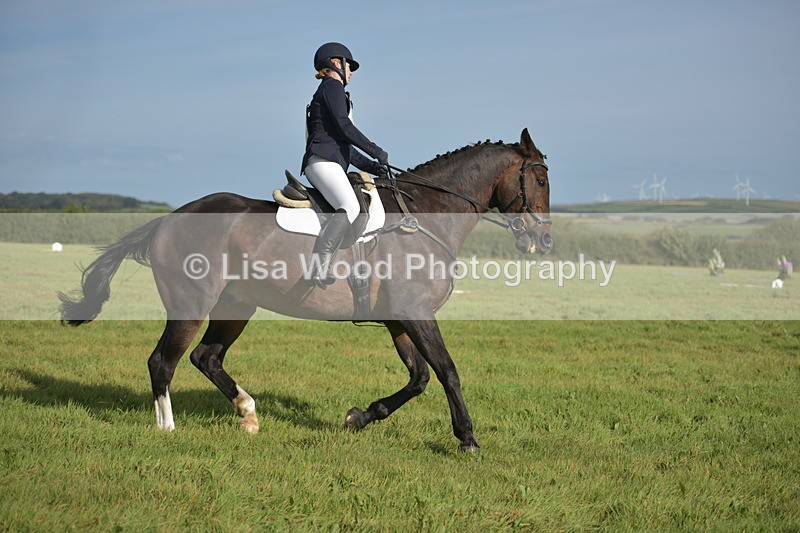 RAY_7504 - Class 2B: Trekenning Open: Dressage