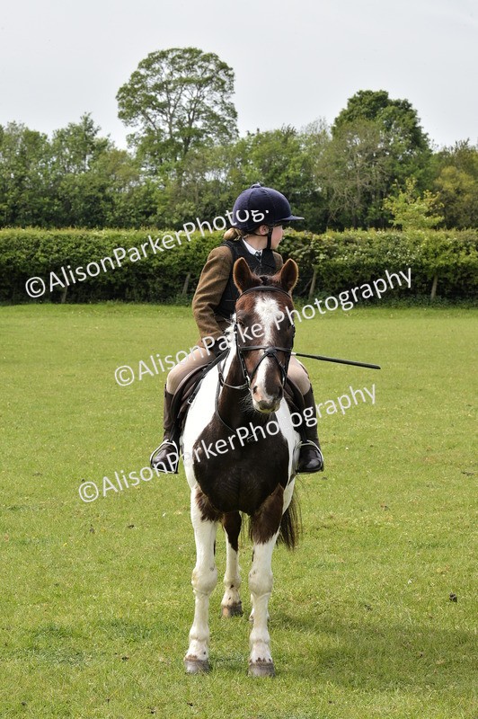 20260426-2449 - Class 21 - Working Hunter Ponies