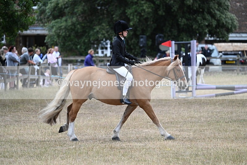 WJ7_7178 - Class 2 Best Rider
