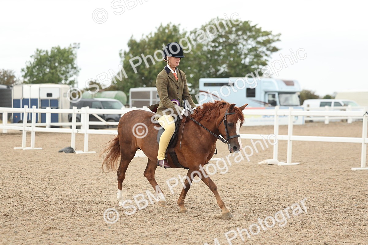 SBM_19219 - Class 316 - Best Pony-Rider Combination